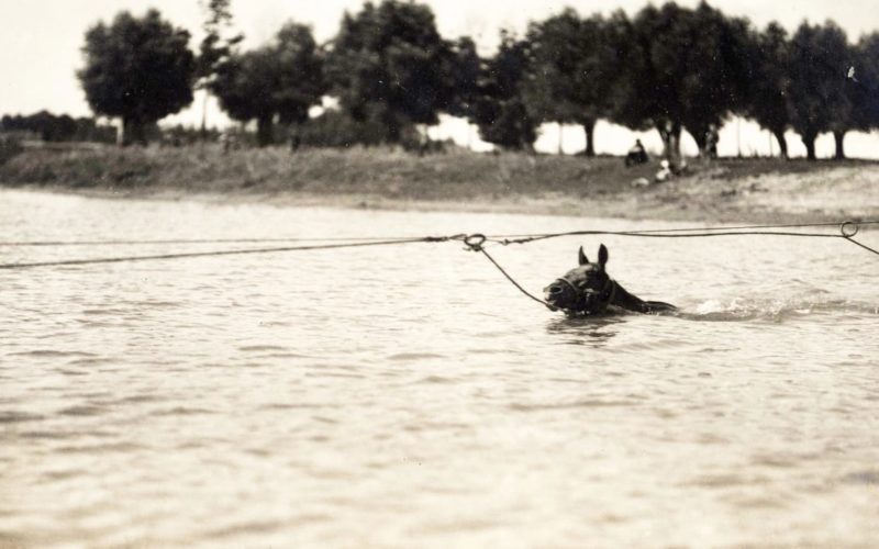 WhatsApp Image 2022-09-01 at 11.27.49