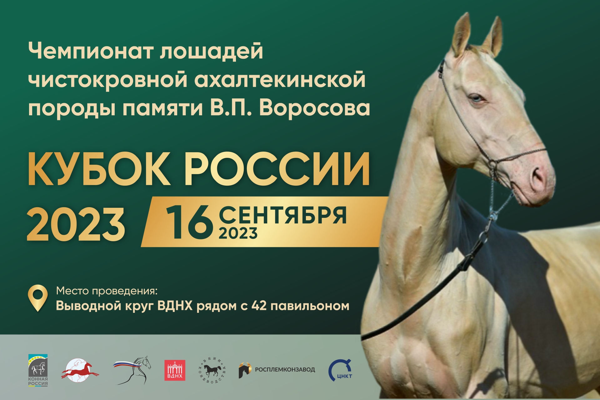 Кубок России 2023 (1)