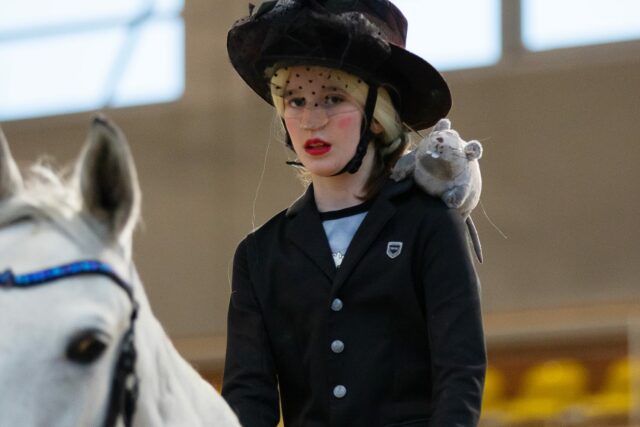 Новогодний карнавал по конкуру и выездке (1)