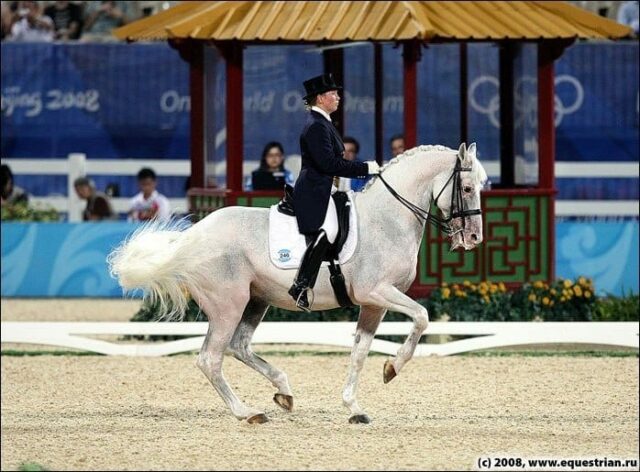 Александра Корелова и орловский Балагур (10626 Раскат — 14947 Брусника) 1990 года рождения