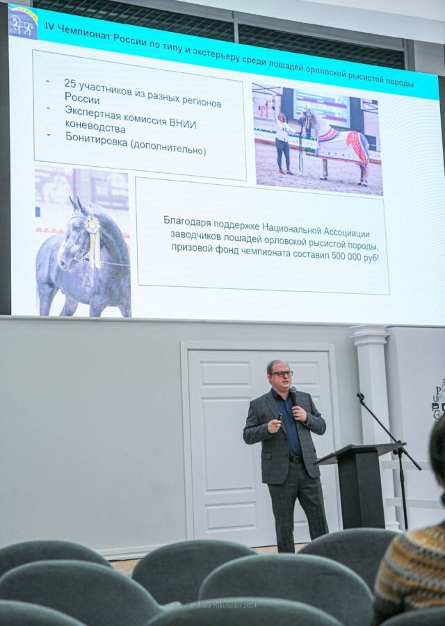 Программа, посвященная орловскому рысаку