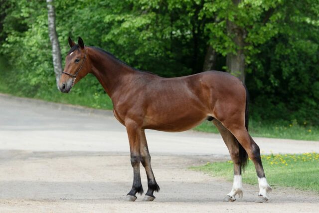 Байконур (2)