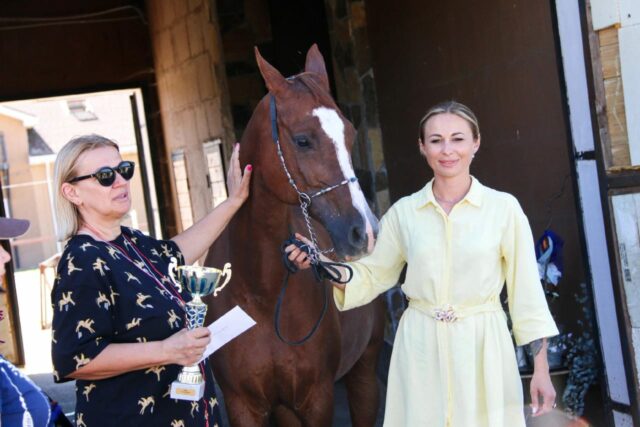 V Ежегодный Фестиваль арабской лошади Три Грации (7)