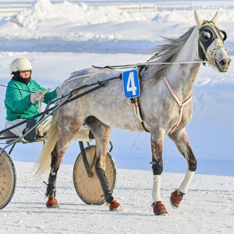 1. Киевлянка