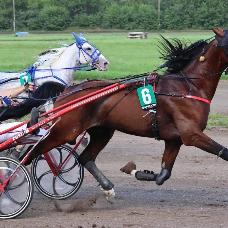 2. Бийcк Джeй