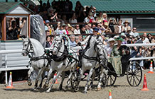 Крылатое-сердце-России