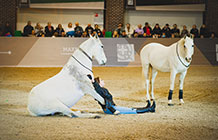 В-поисках-огненной-лошади