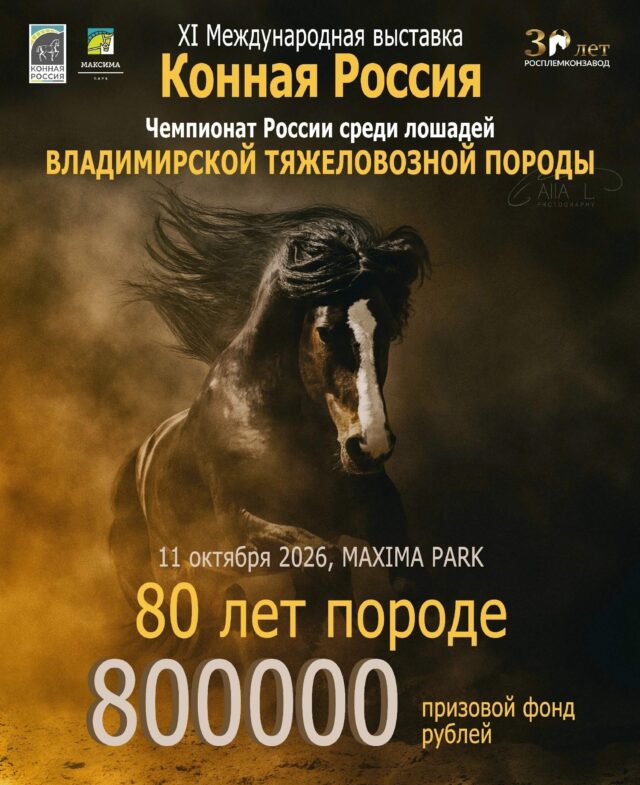 80 ЛЕТ ВЛАДИМИРСКОЙ ПОРОДЕ