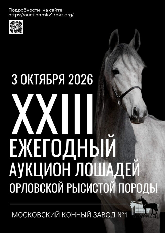 XXIII Аукцион лошадей орловской рысистой породы